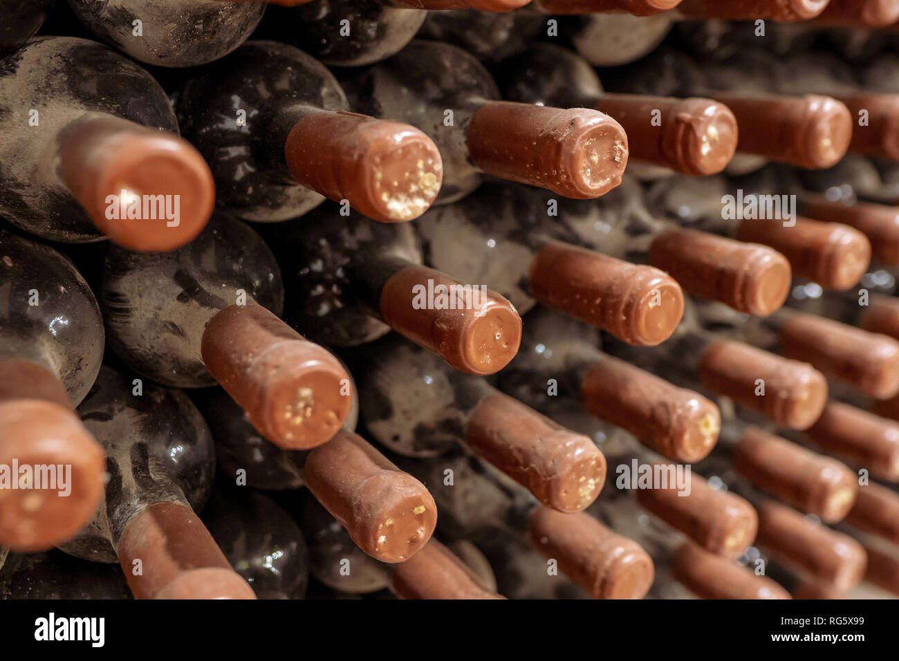 Dusty old wine bottles aging in a winery Stock Photo