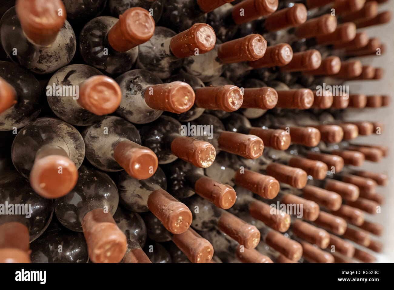 Wine aging process. Wine bottles aging, covered in dust and mold, in a traditional winery Stock Photo