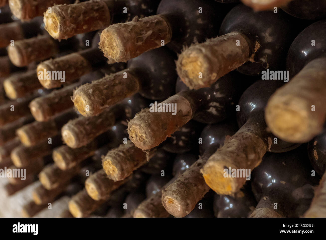Closeup of a rack with old wine bottles covered in dust and cobweb in a winecellar in France Stock Photo