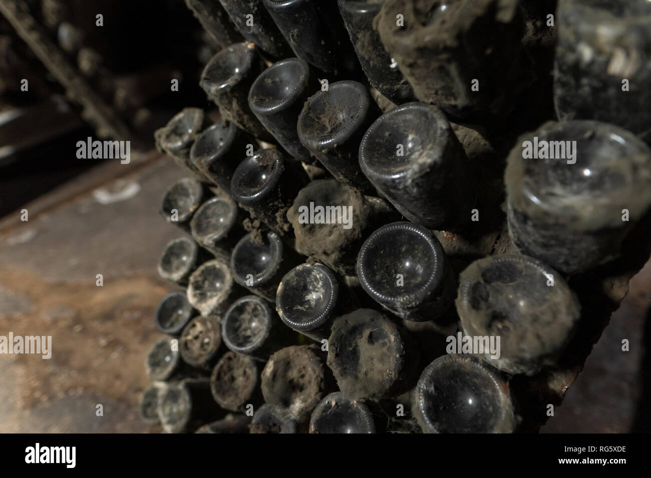 Wine aging bottles covered in dust and mold Stock Photo