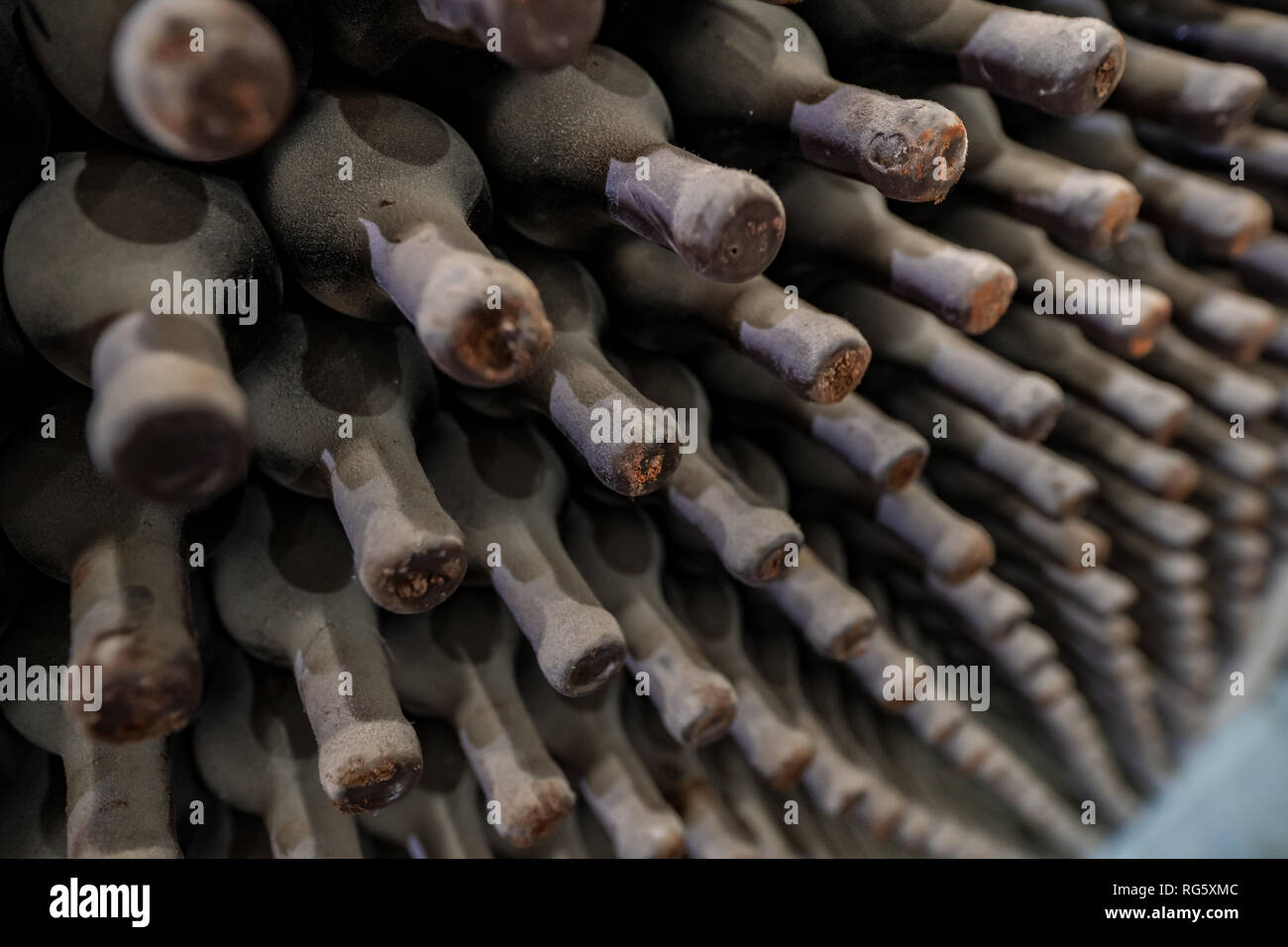 Dusty wine bottles in winery Stock Photo