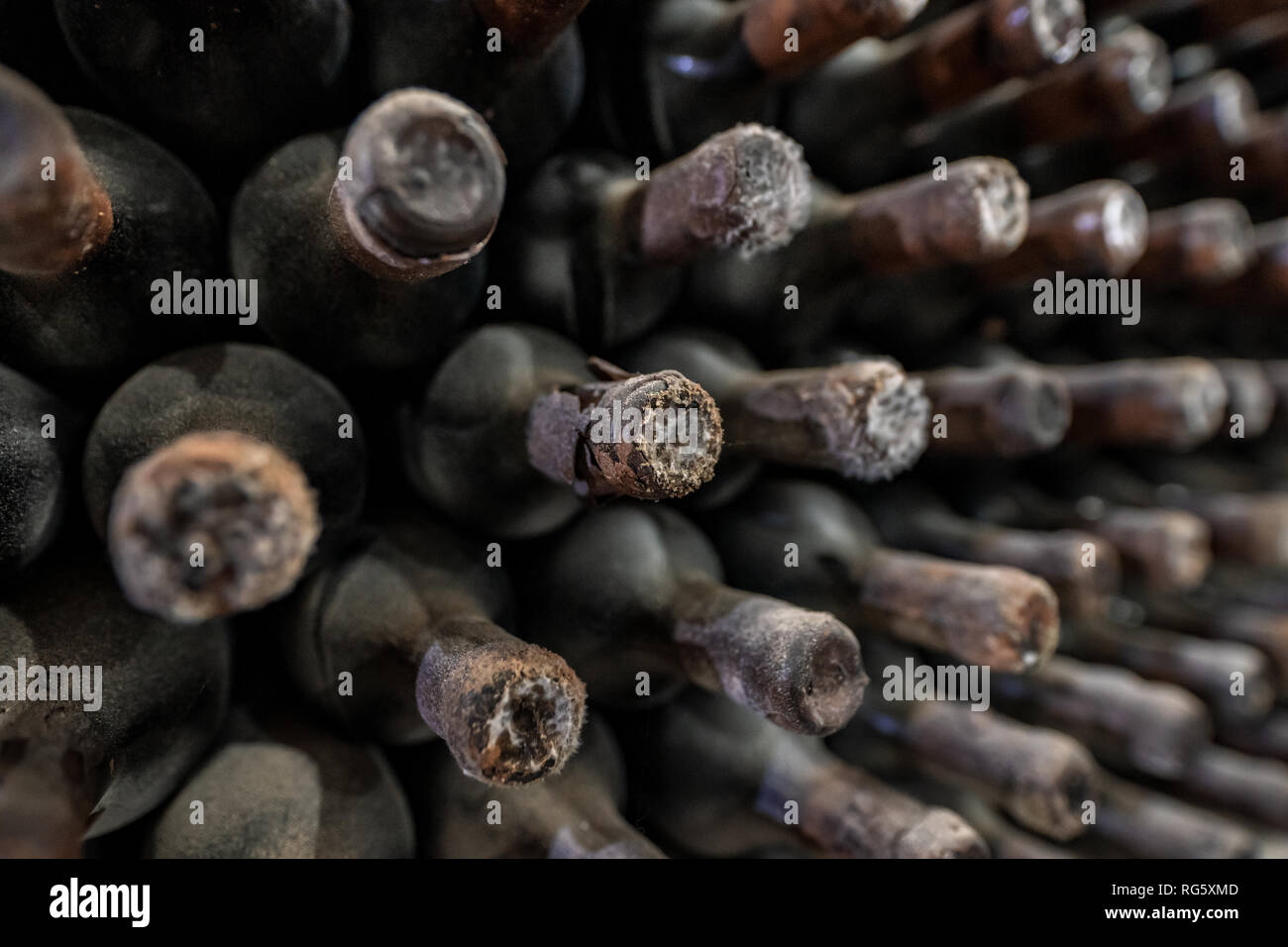 Detail of a dusty old wine bottle aging in a rack surrounded by other