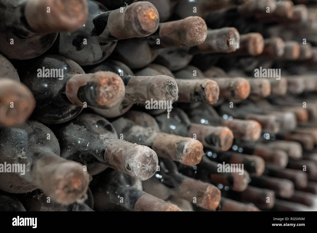 Old dirty wine bottles covered in dust and cobweb Stock Photo Alamy