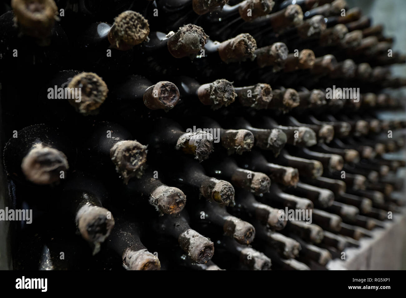 Extremely old wine bottles in the process of aging Stock Photo Alamy