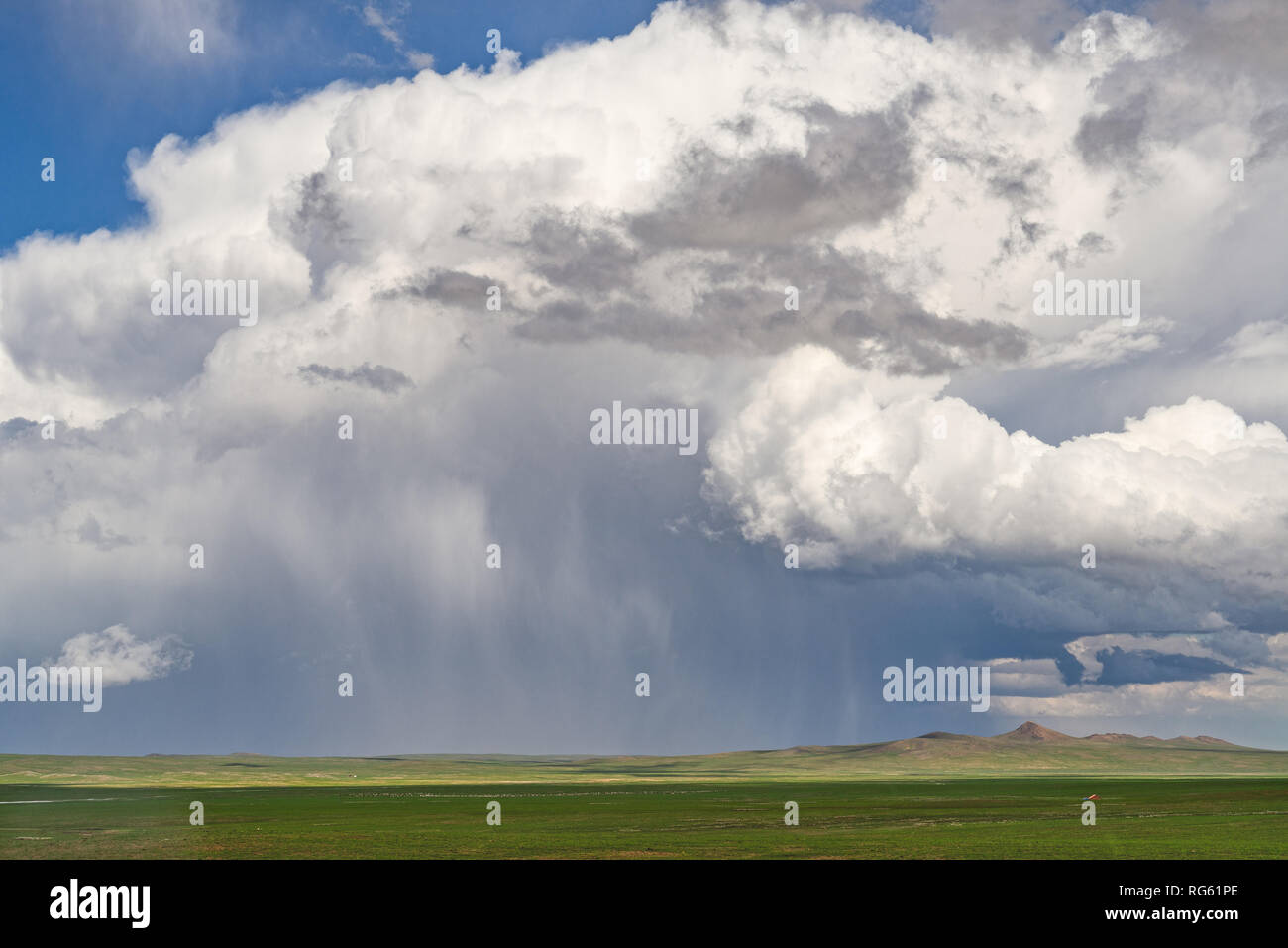 Summer rain over plains, Mongolia Stock Photo