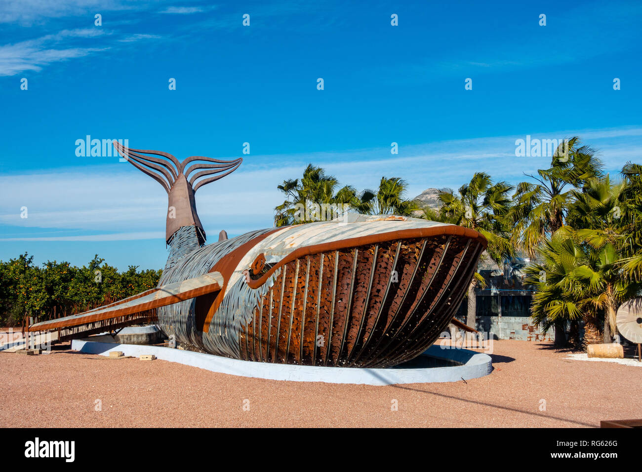The metal whale sculpture by Toni Mari, Iron sculptor at Art al Camp, Cami  Cabanes, Javea, Alicante Spain Stock Photo - Alamy