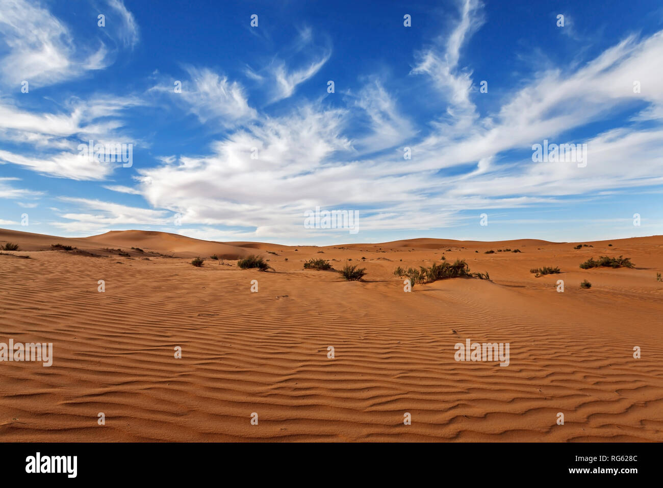 Desert landscape, Saudi Arabia Stock Photo