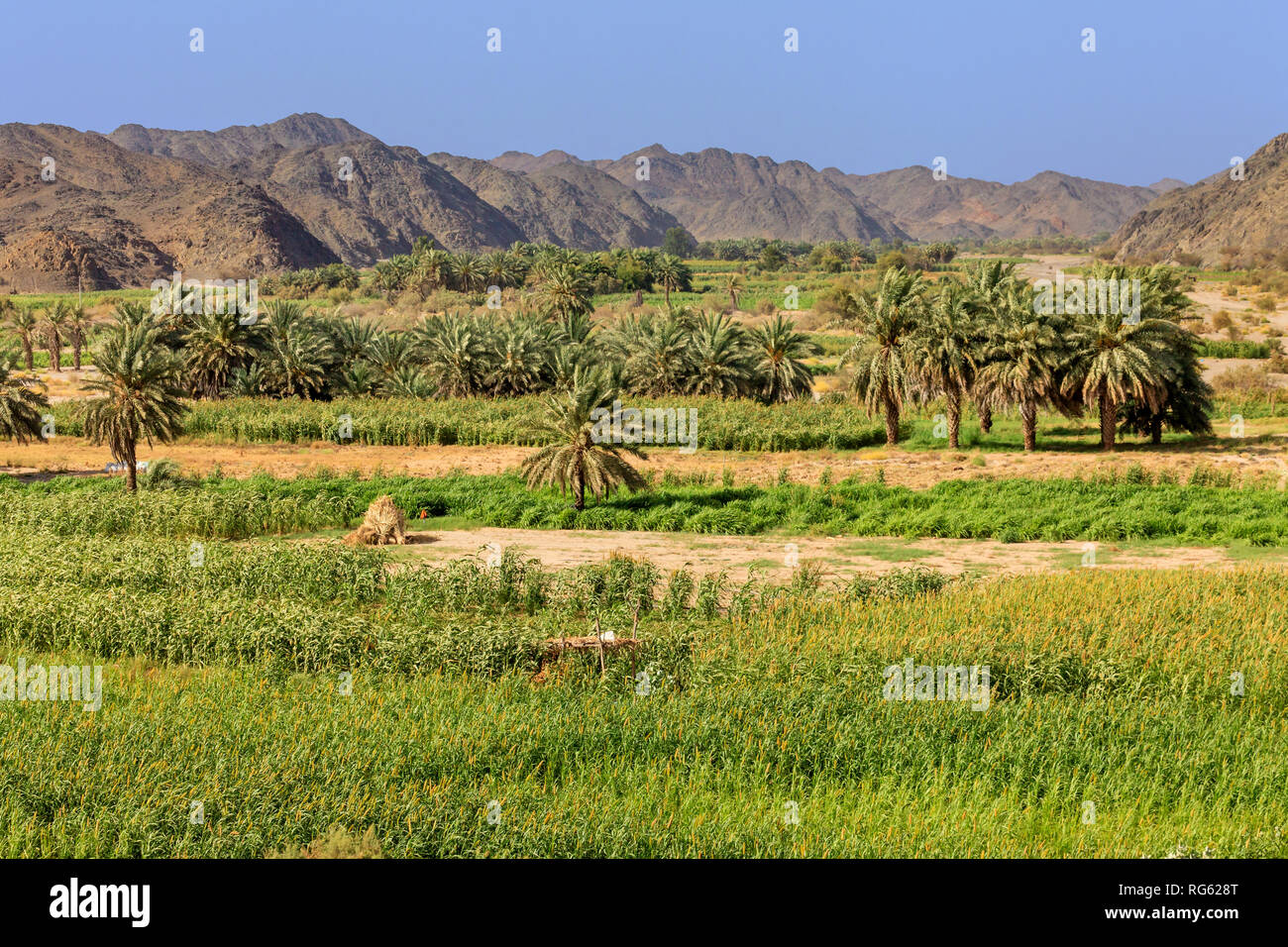 Farmland in the mountains, Saudi Arabia Stock Photo