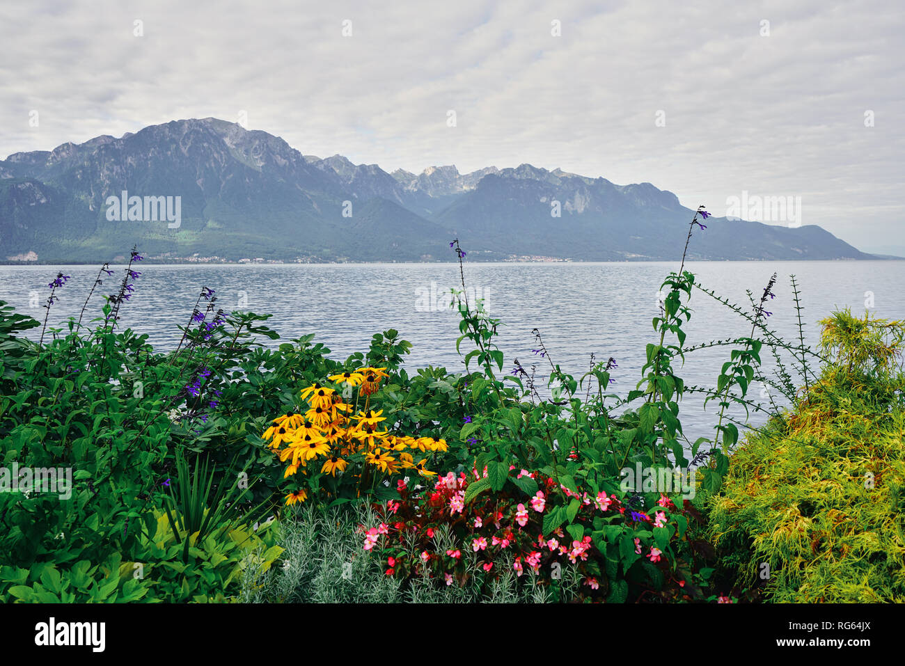 Flowers, mountains and Lake Geneva, Montreux, Switzerland Stock Photo Alamy