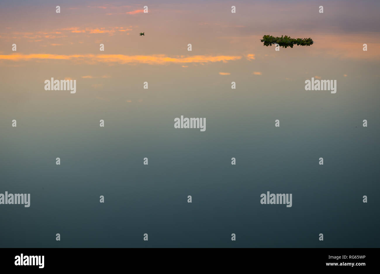 Ripple in tranquil water Stock Photo - Alamy