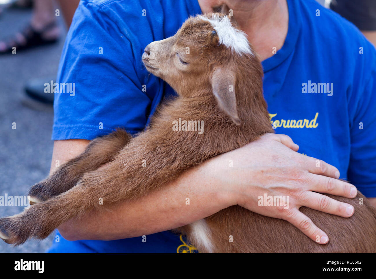 Woman holding goat hires stock photography and images Alamy