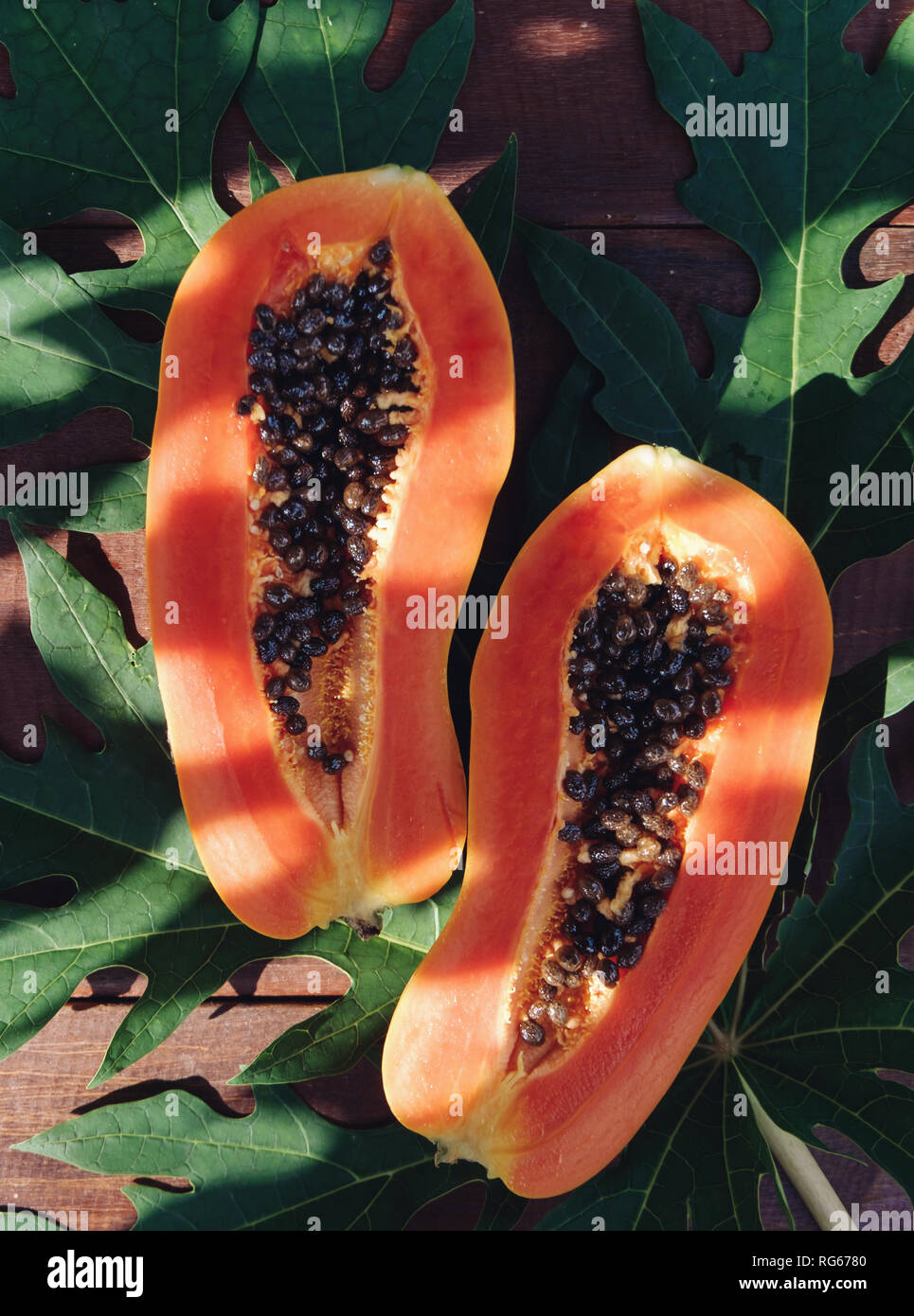 Inside papaya hires stock photography and images Alamy