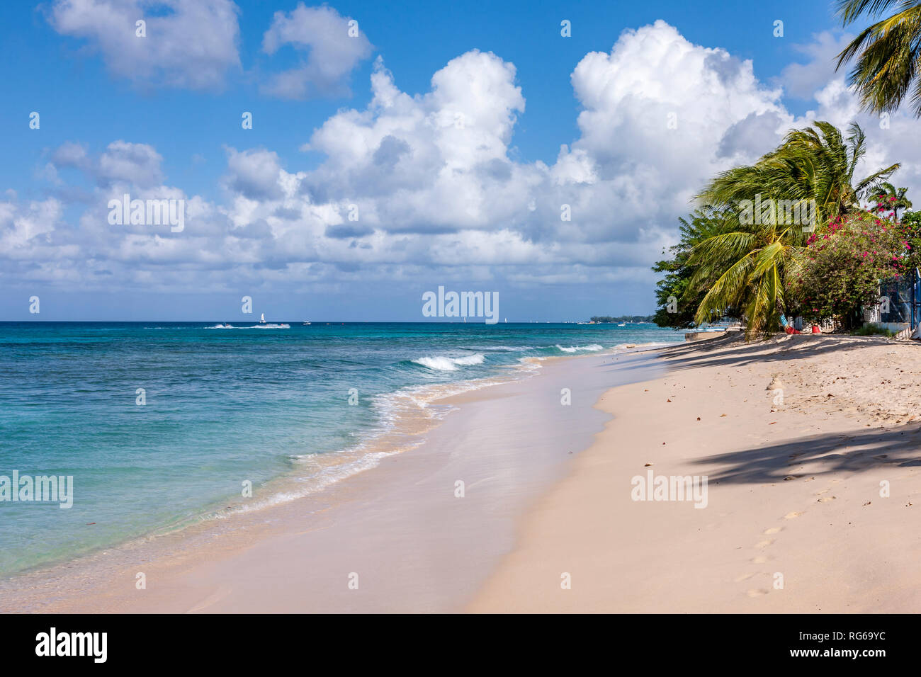 Sandy lane beach early morning, Barbados Stock Photo Alamy