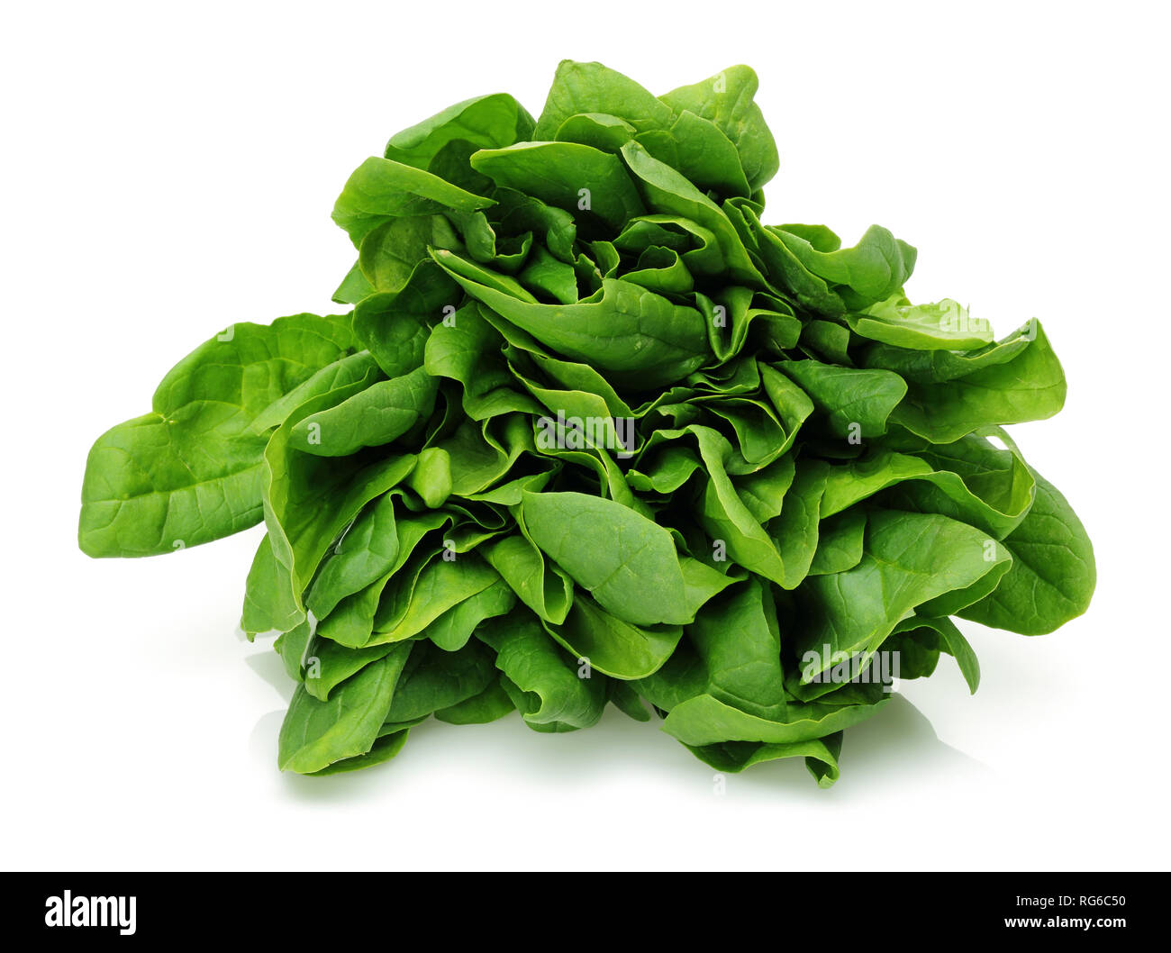 Bunch of fresh spinach isolated on white background Stock Photo - Alamy