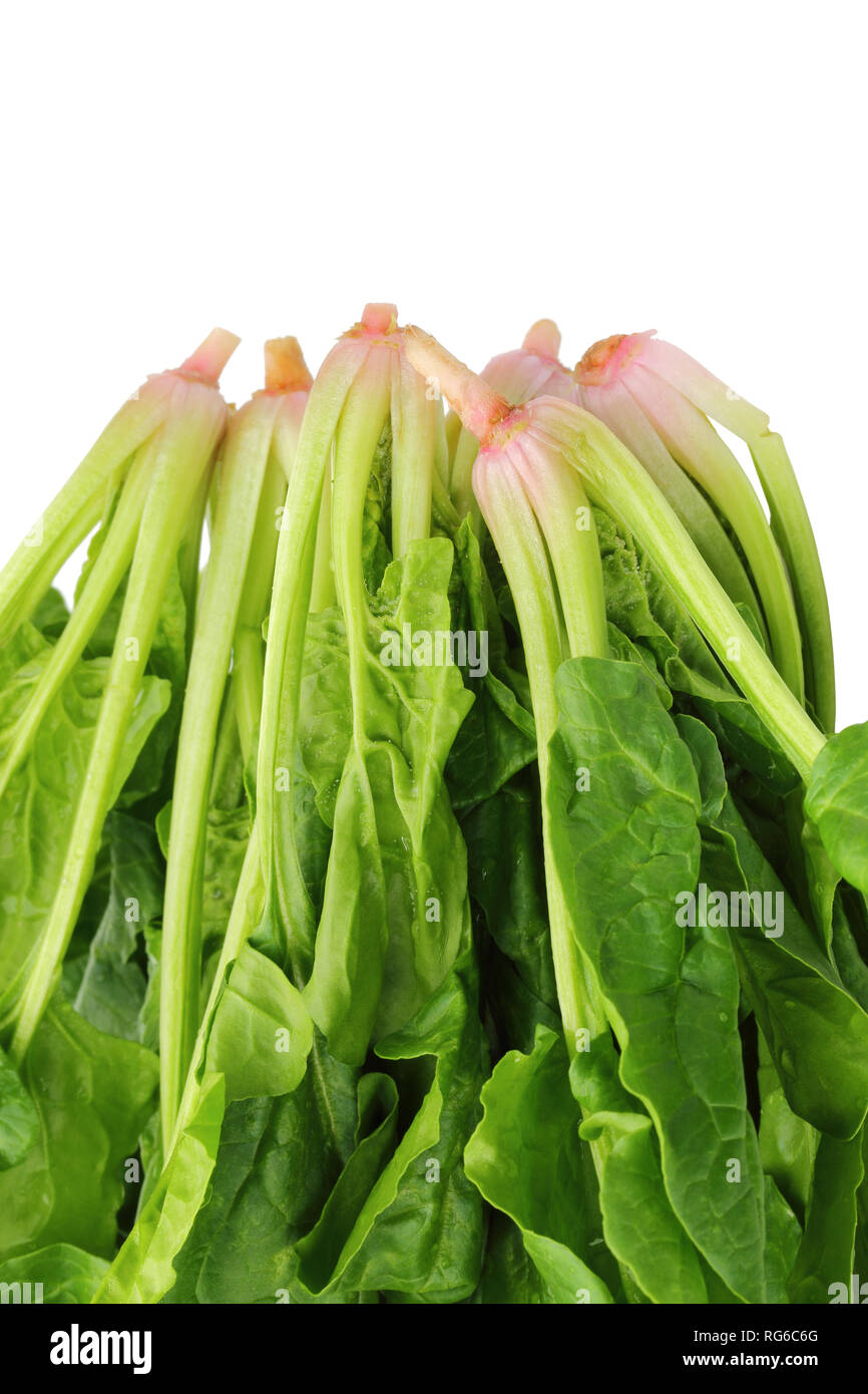Bunch of fresh spinach isolated on white background Stock Photo - Alamy