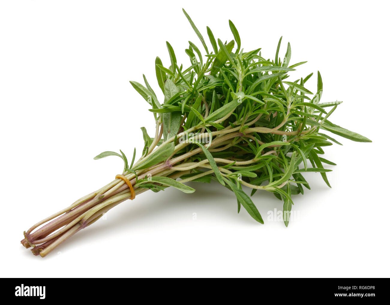 Fresh green thyme isolated on white background Stock Photo
