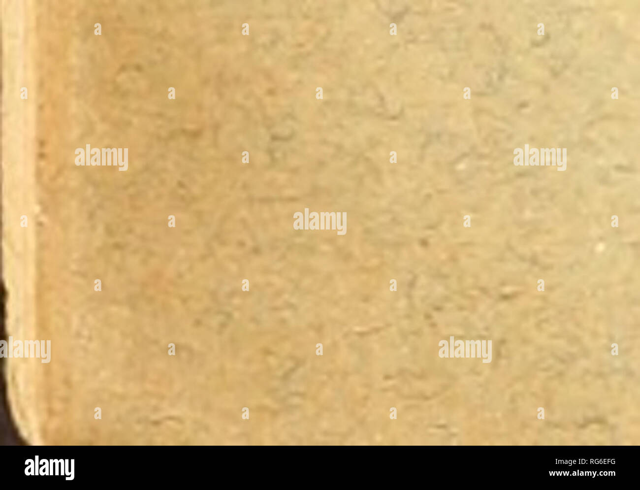 Lyc Stock Photos Lyc Stock Images Page 2 Alamy - 