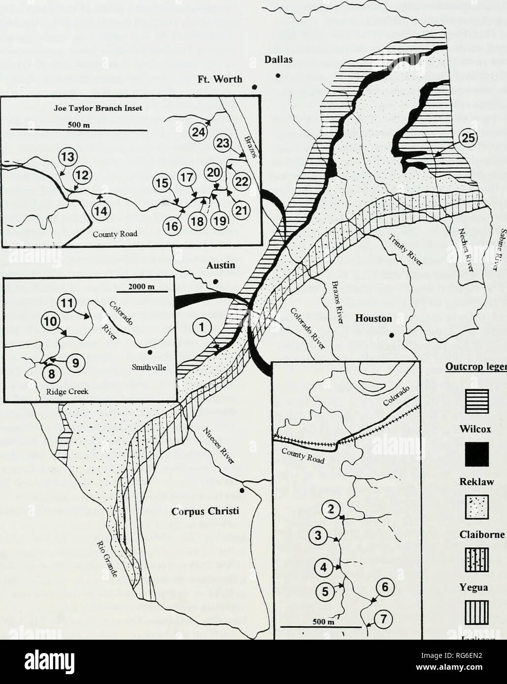 Joe jackson 1990 hires stock photography and images Alamy