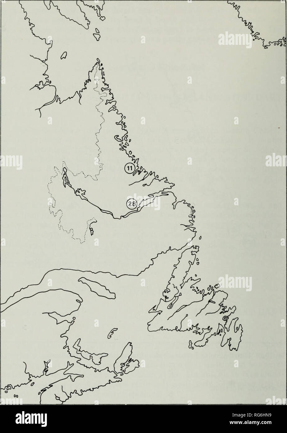 . Butterflies and moths of Newfoundland and Labrador : the macrolepidoptera. lepidopteres; lepidopteres; Insectes; insectes; Butterflies; Moths; Moths; Butterflies. Fig. 23b. Distribution of Eurois occulta (Linnaeus) in Labrador. Pearl, Kilbride, Chamberlains, Colinet, Gambo, Gander, Cow Head, Port au Choix, Eddies Cove West, St. Anthony, Kitty's Brook, Glenwood, Lewisporte, Millertown Junction, Pynns Brook, Corner Brook, Georges 104. Please note that these images are extracted from scanned page images that may have been digitally enhanced for readability - coloration and appearance of these i Stock Photo