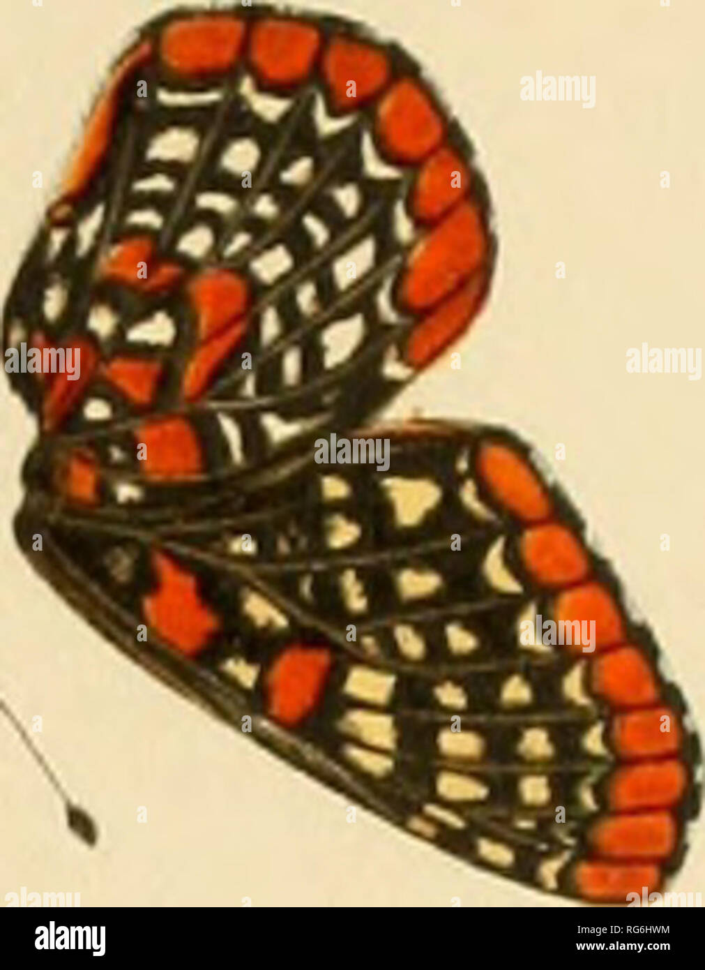 Charles valentine riley hires stock photography and images Alamy