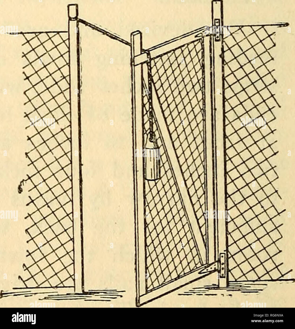 The Business Hen The Latest Hatch Poultry Gate Closed Fig 35 Gate Open Fig 36 To Allow My Dog To Have Free Access To The Poultry Runs So That If There The Business Hen The Latest Hatch Poultry Gate Closed Fig 35 Gate Open Fig 36 To Allow My Dog To Have Free Access To The Poultry Runs So That If There