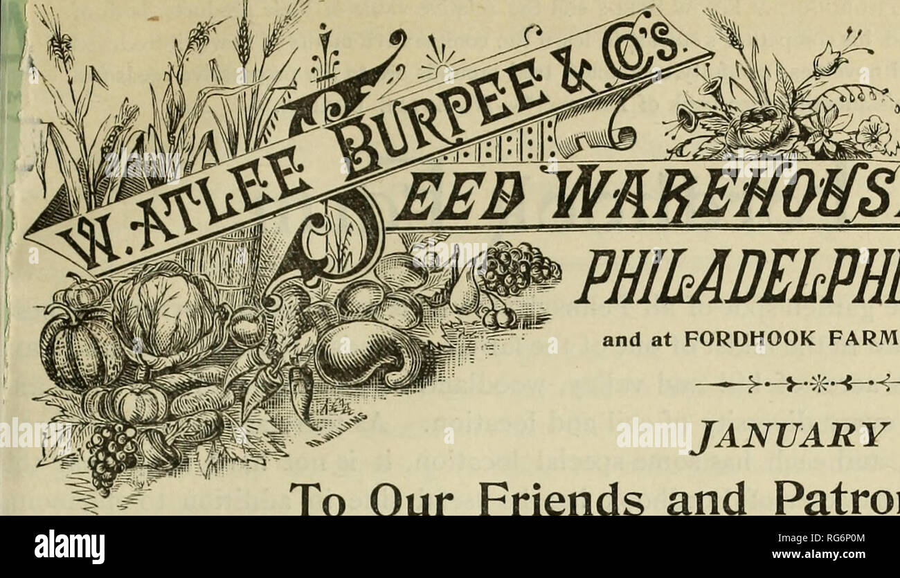 . Burpee's farm annual. Nursery stock Pennsylvania Philadelphia Catalogs; Flowers Catalogs; Vegetables Catalogs; Seeds Catalogs; W. Atlee Burpee Company; Nursery stock; Flowers; Vegetables; Seeds. PHIMDEhPHIAPA. and at FORDHOOK FARM, Doylestown, Pa. ââ? 1 â JANUARY i, 1896. To Our Friends and Patrons:â THE FARM ANNUAL may not appear quite so attractive as catalogues with larger pages, more alluring illustrations, and elaborate descriptions that are often overdrawn, but it has been published for twenty years in its present form and is known everywhere as a thoroughly trustworthy guide to all re Stock Photo