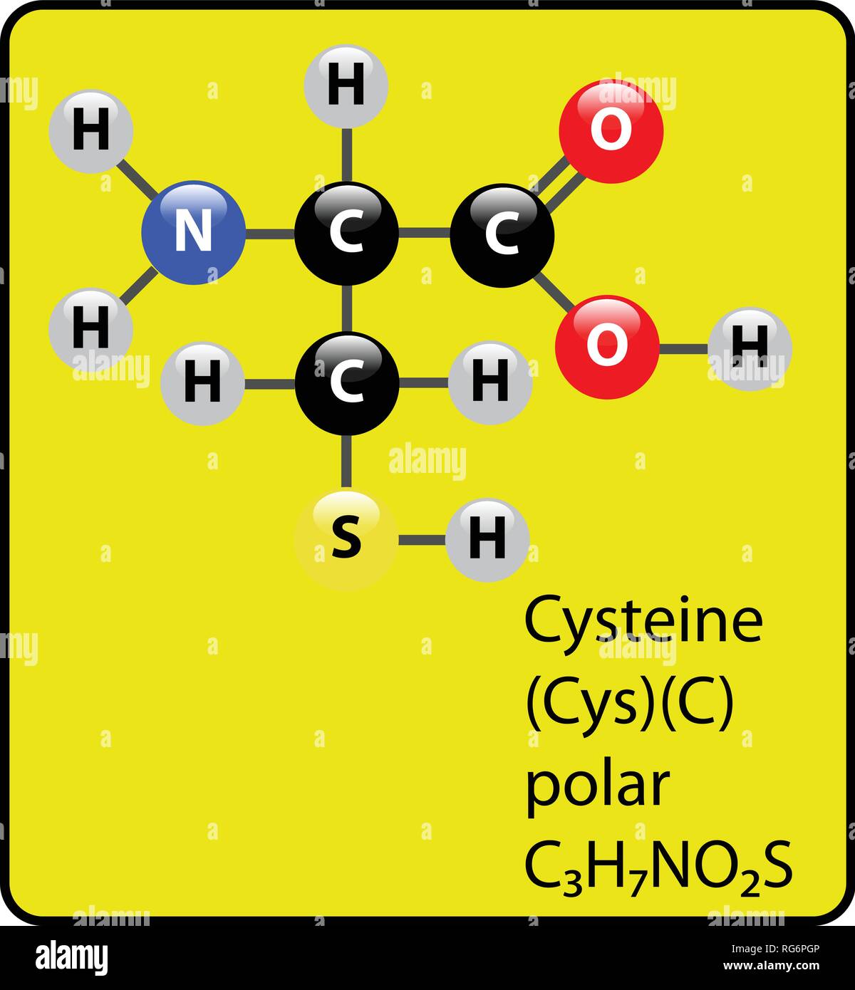 Cysteine Amino Acid Molecule Ball and Stick Structure Stock Vector