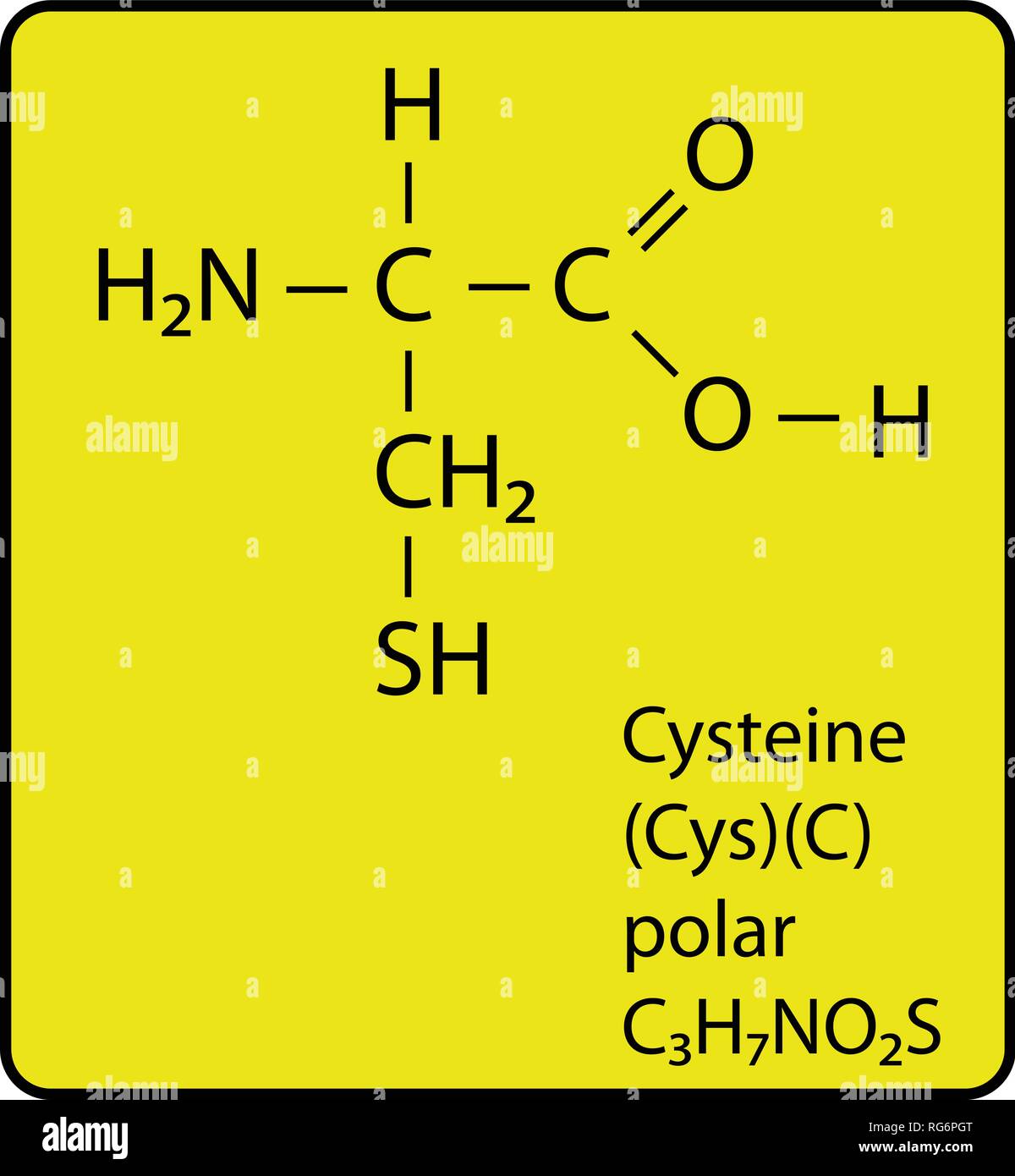 Cysteine Amino Acid Molecule Skeletal Structure Stock Vector