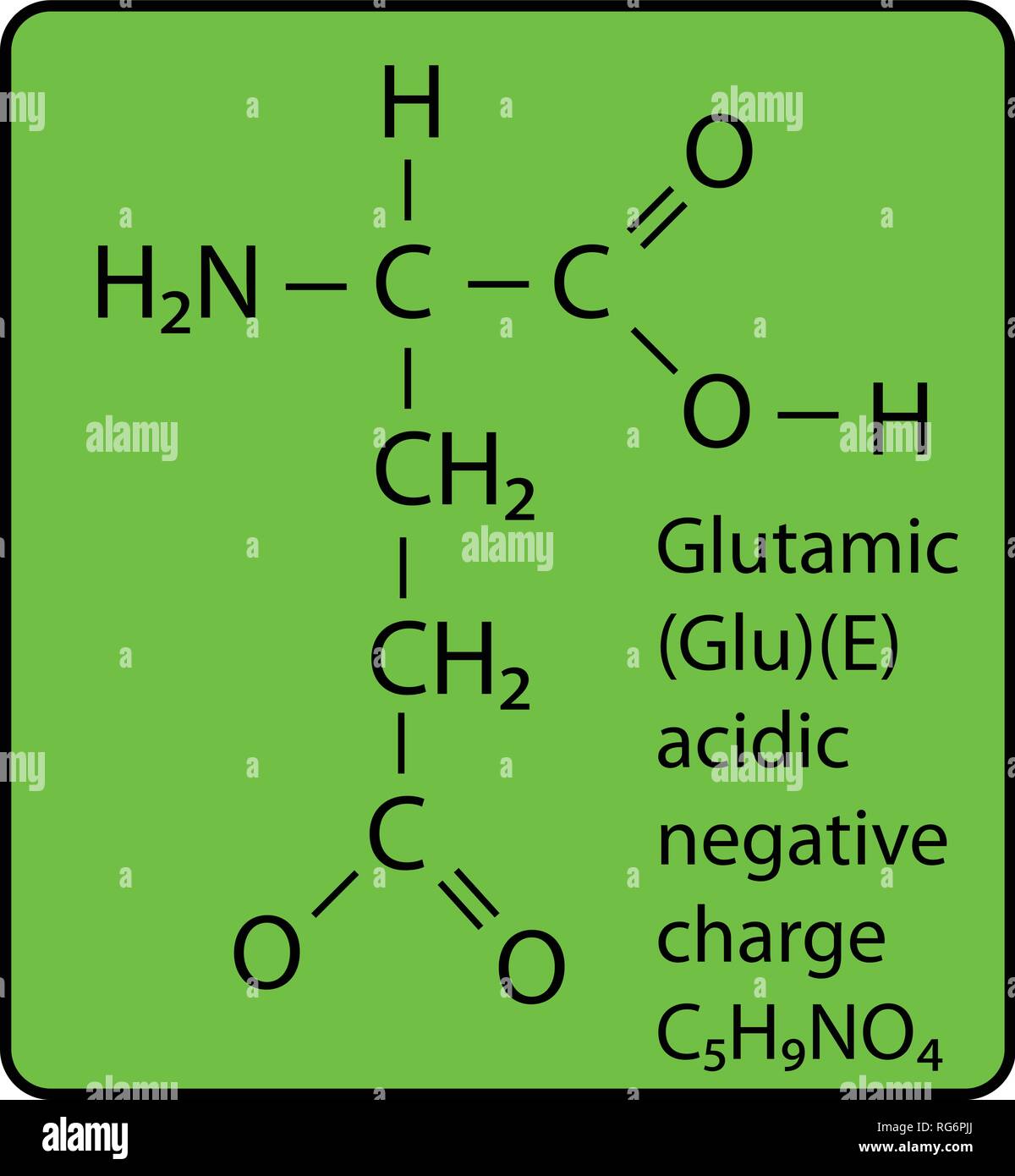 Glutamic Amino Acid Molecule Skeletal Structure Stock Vector