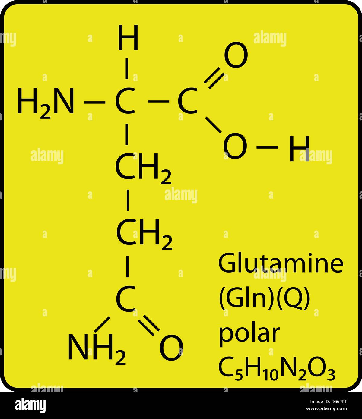 Glutamine Amino Acid Molecule Skeletal Structure Stock Vector