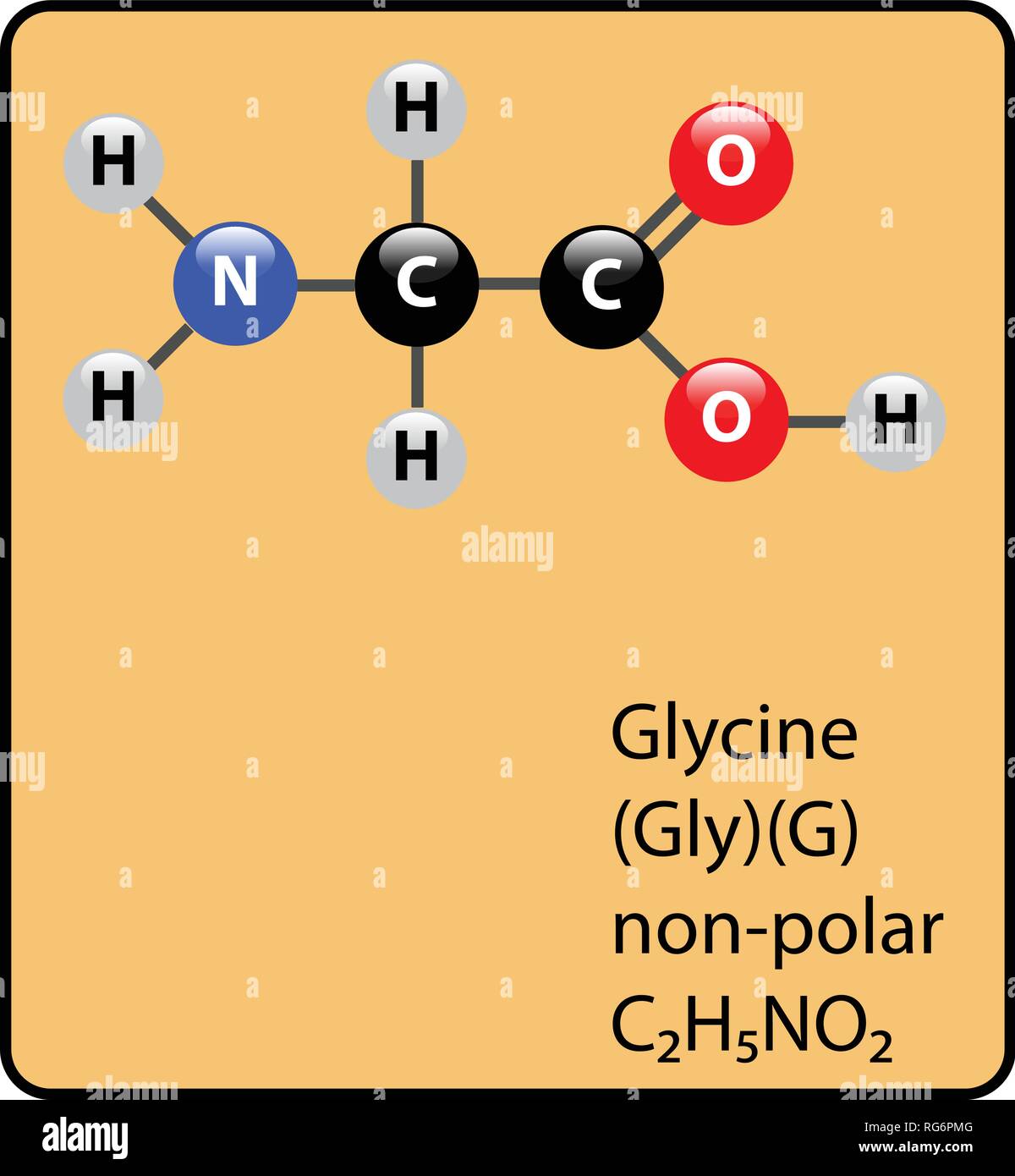 Glycine Amino Acid Molecule Ball and Stick Structure Stock Vector