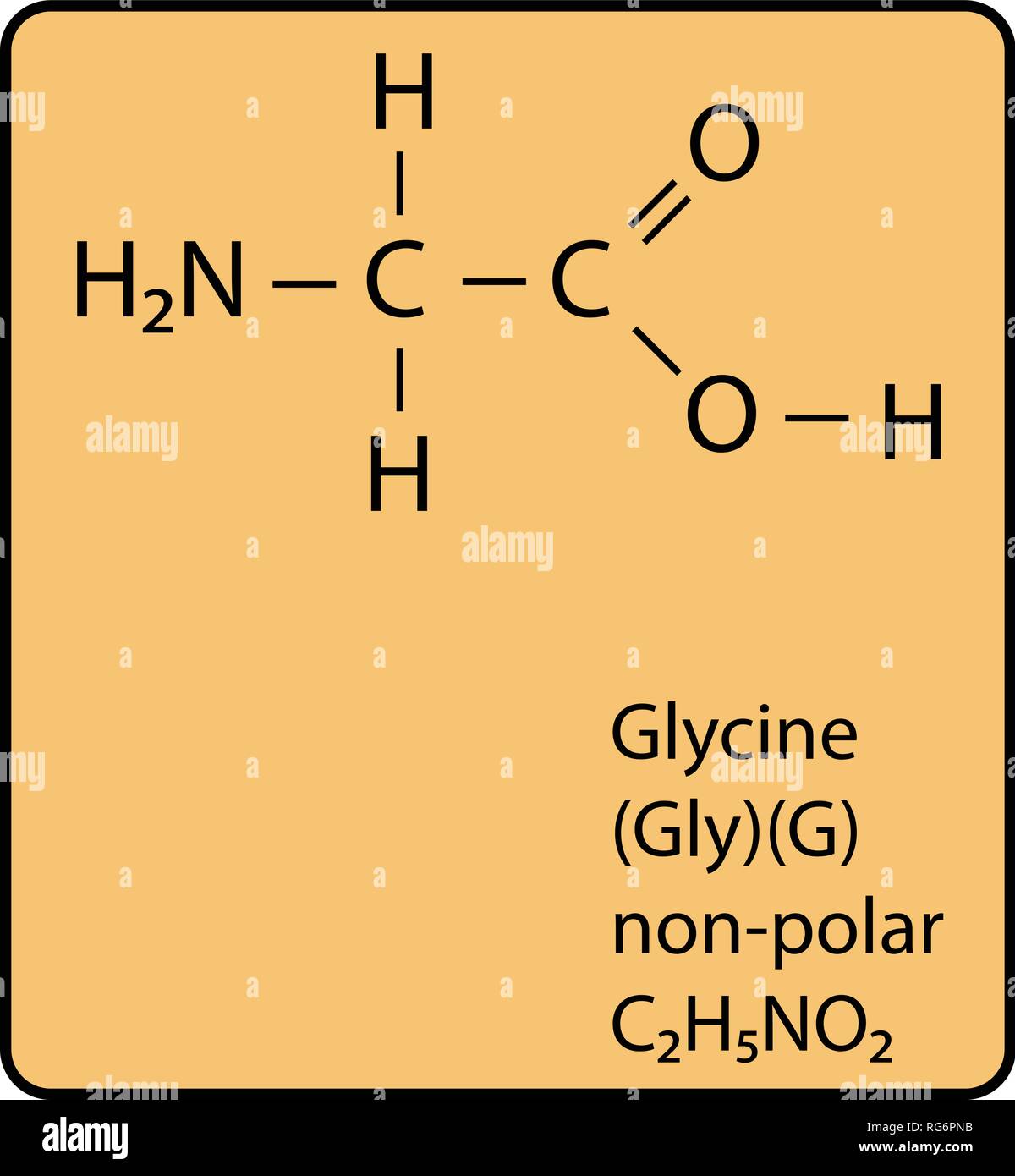 Glycine Amino Acid Molecule Skeletal Structure Stock Vector