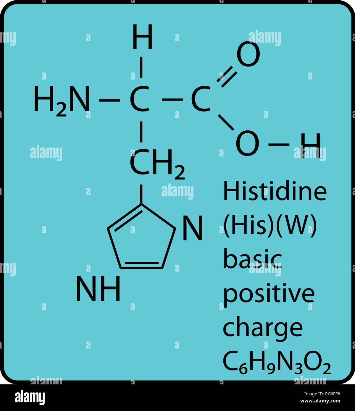 Histidine Amino Acid Molecule Skeletal Structure Stock Vector