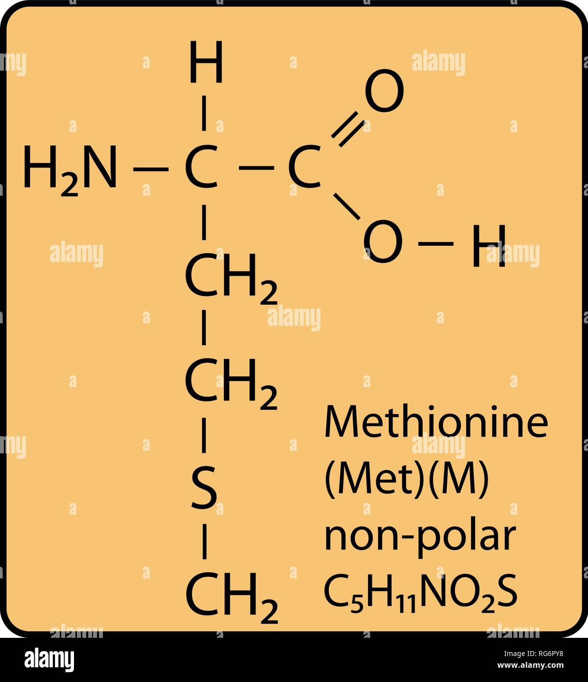 Methionine Amino Acid Molecule Skeletal Structure Stock Vector