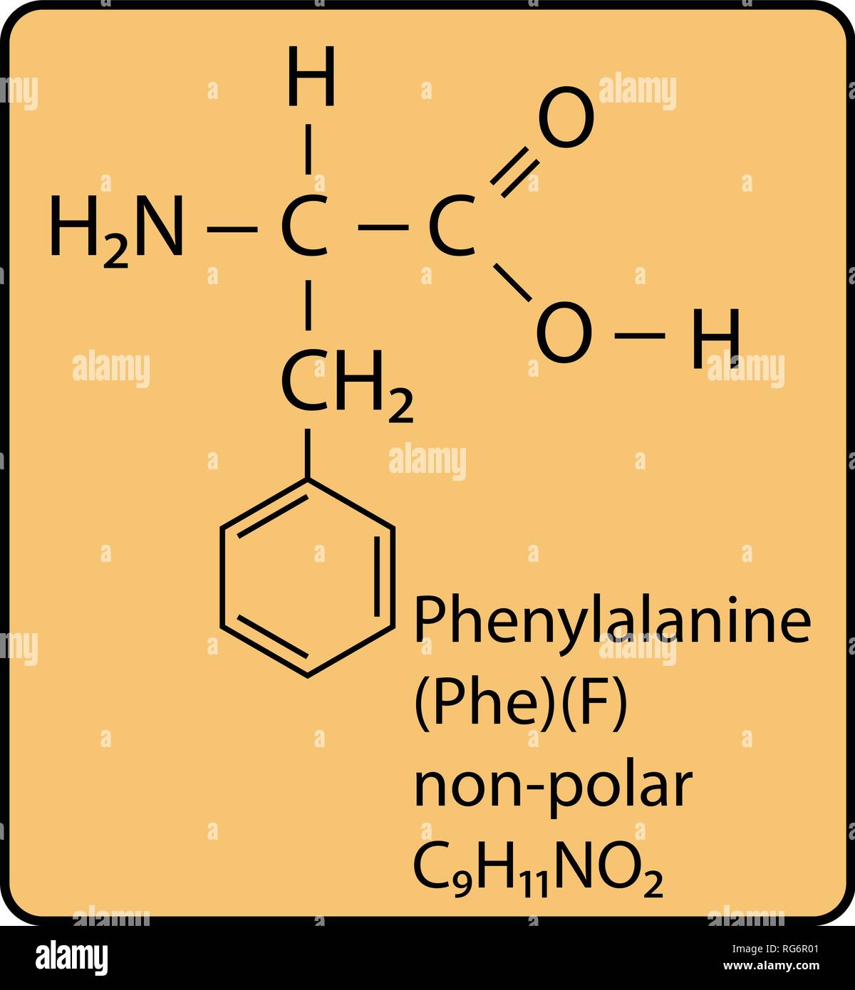 Phenylalanine Amino Acid Molecule Skeletal Structure Stock Vector