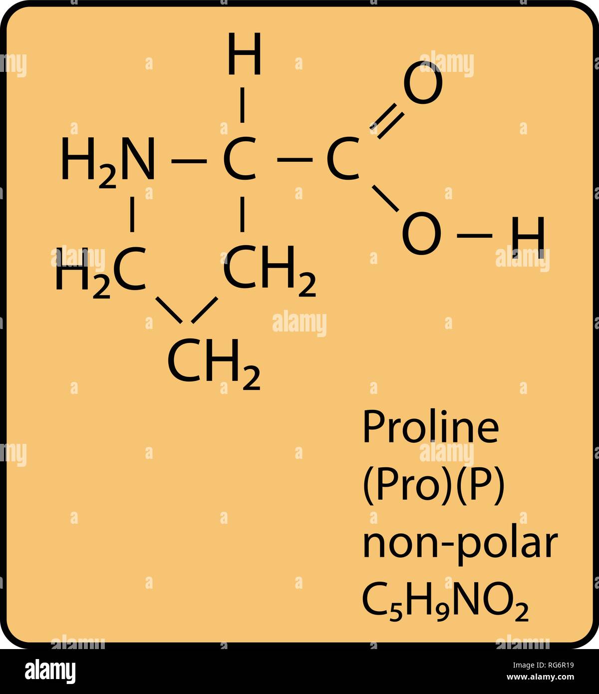 Proline Amino Acid Molecule Skeletal Structure Stock Vector