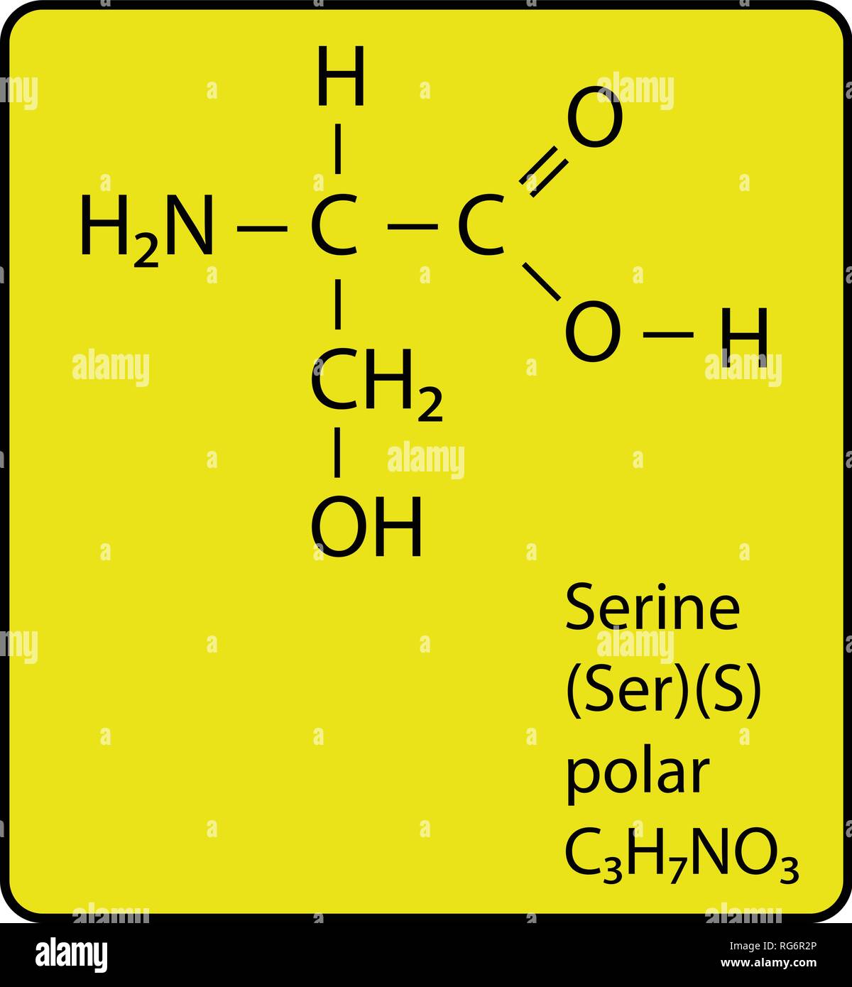Serine Amino Acid Molecule Skeletal Structure Stock Vector