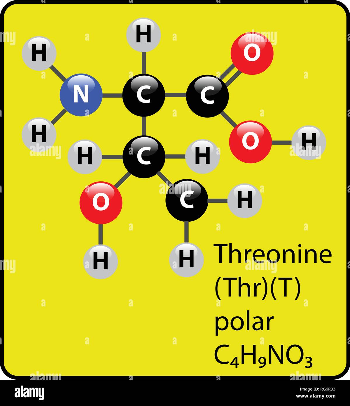Threonine Amino Acid Molecule Ball and Stick Structure Stock Vector