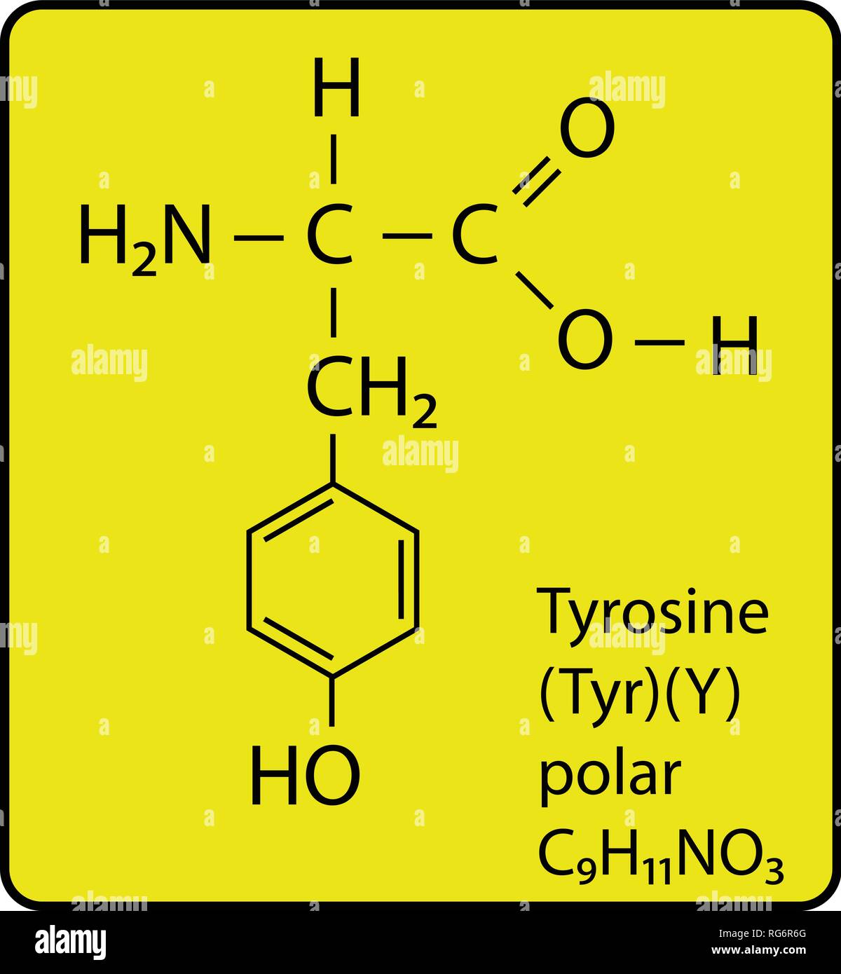 Tryosine Amino Acid Molecule Skeletal Structure Stock Vector