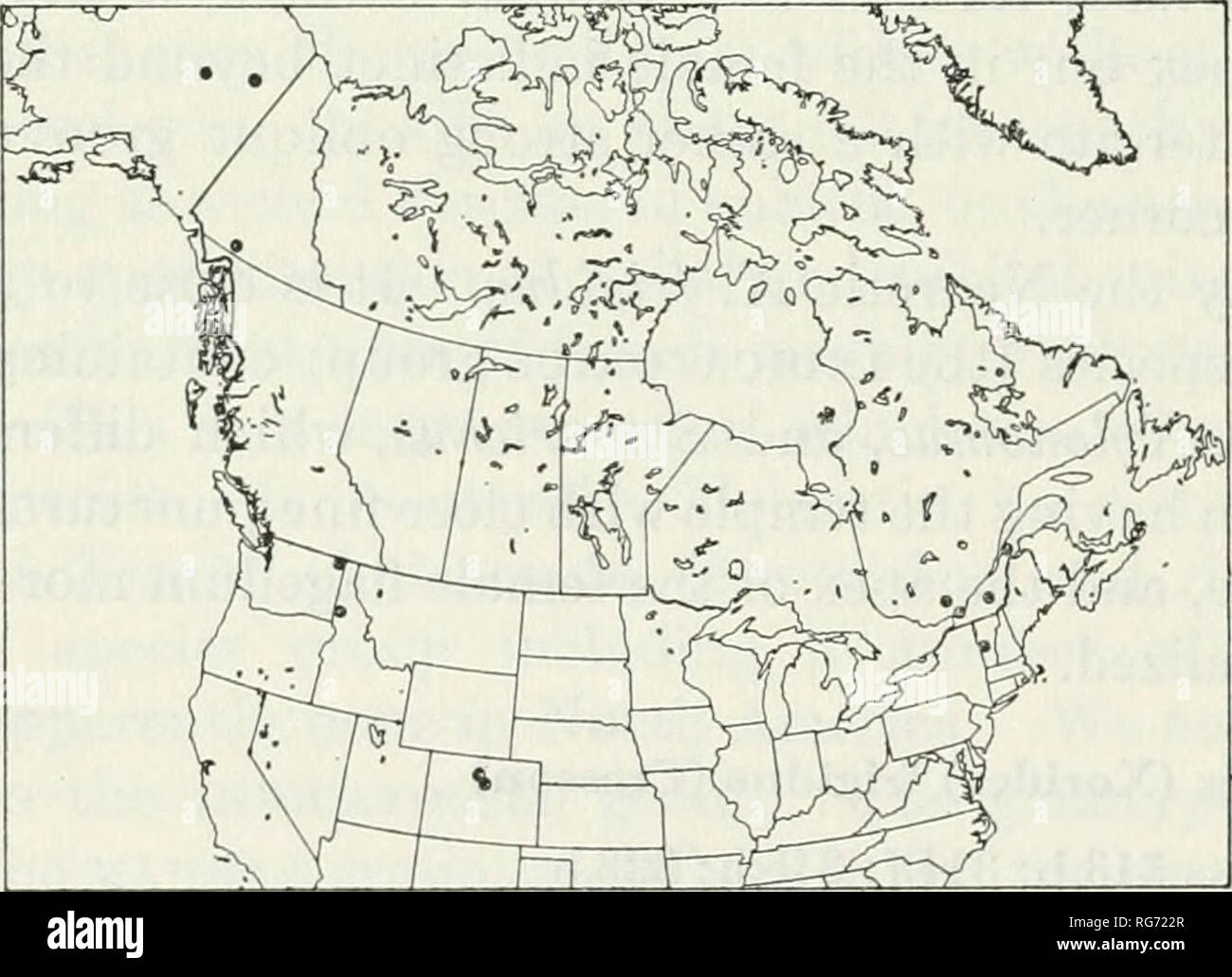. Bulletin - United States National Museum. Science. 504 U. S. NATIONAL MUSEUM BULLETIN 216 fuscous at apex; hind leg fuscous or infuscate, its coxa and trochanters fulvous. Specimens: 9 (type of yukonensis), Fort Yukon, Alaska, L. M. Turner (Washington). 9, Rampart, Alaska, June 28, 1903, M. E. Koonce (Pittsburgh). 9, Sidney, B. C, May 21, 1927, W. H. A. Preice (Washington), cf, Campus of University of Colorado, Boulder, Colo., June, T. D. A. Cockerell (Washington). 9, Longs Peak Inn at 9,000 ft., Colo., July 2, 1926, E. C. Van Dyke (San Francisco). 9 (type of frigidus), &quot;Hudson Bay terr Stock Photo