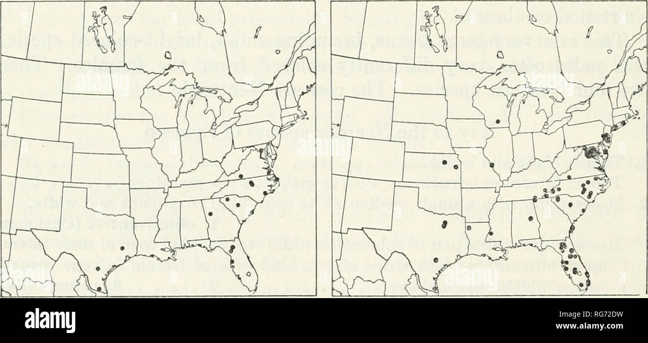 Bulletin - United States National Museum. Science. 394 U. S. NATIONAL  MUSEUM BULLETIN 216 PART 3 1. Lymeon cinctiventris (Cushnaan) Figures  333,b,c Mesostenus latidnclus Cresson, 1878, Canadian Ent., vol. 10, p.