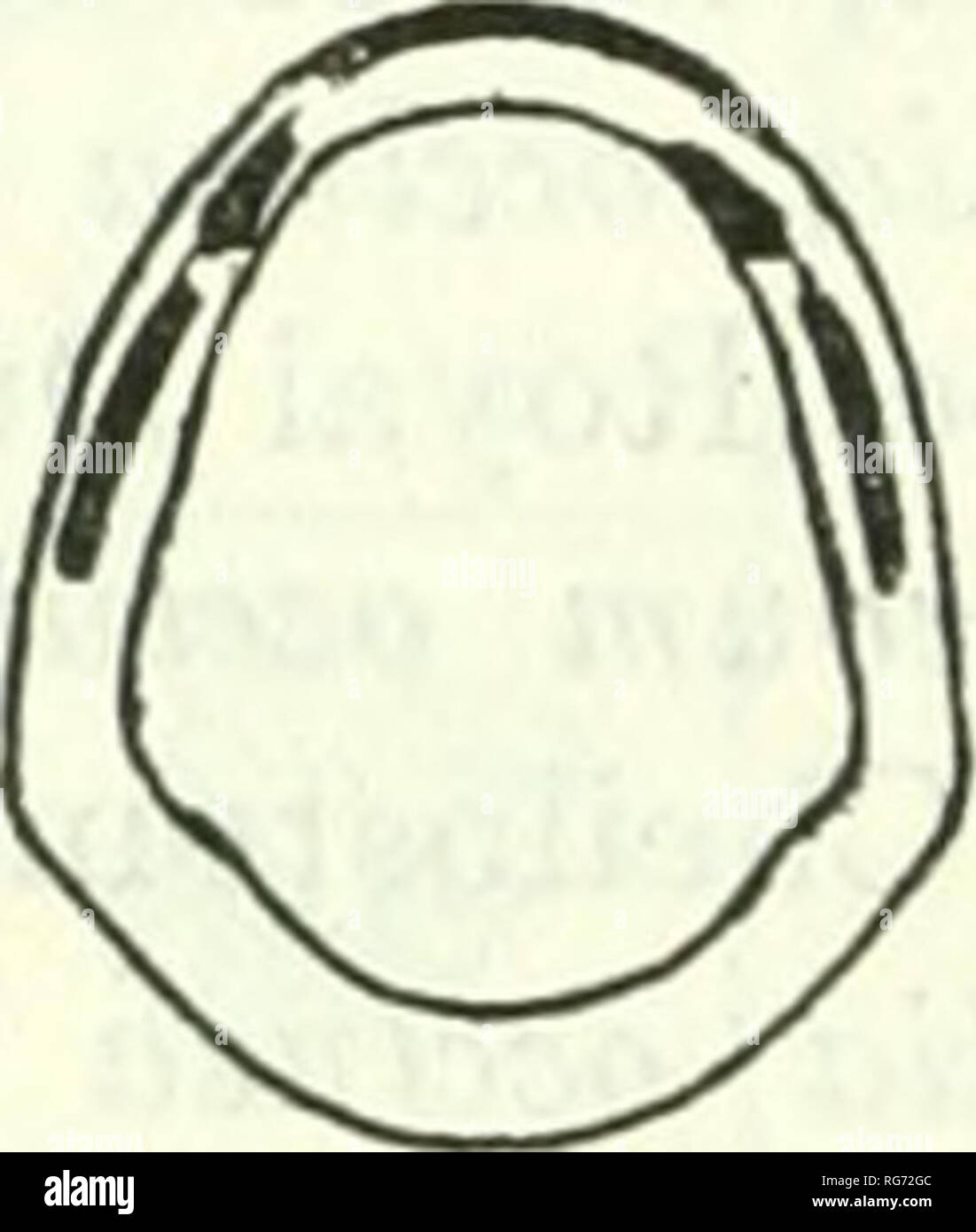 Page 2 5150 High Resolution Stock Photography And Images Alamy