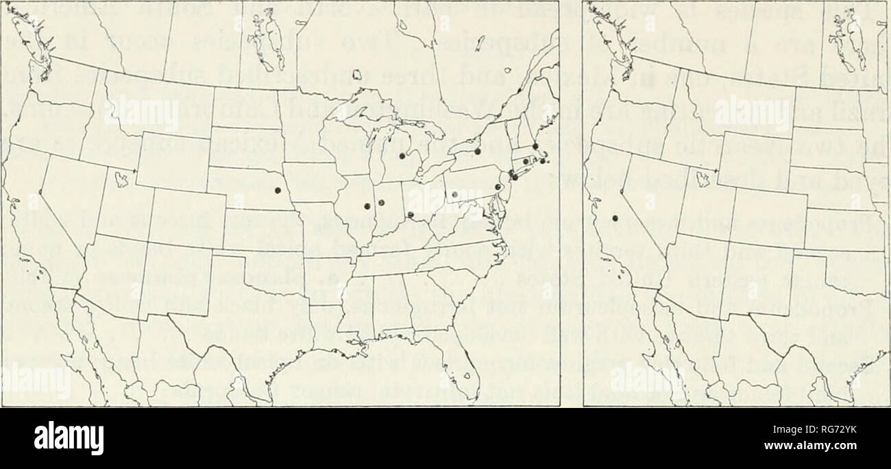. Bulletin - United States National Museum. Science. 258 U. S. NATIONAL MUSEUM BULLETIN 216 PAET 3. Figures 134,135.—Localities: 134 (left), Chromocryptus planosaeplanosae; 135 (right), C. p. vandykei. F. M. Jones (St. Paul). 9, Midland Co., Mich., July 23, 1959 K. R. Dreisbach (Dreisbach). 9, Farmingdale, N.Y., Aug. 7, 1938, H. and M. Townes (Townes). 29, reared from Tolype velleda, Long Island, N.Y., June 30, 1907, G. P. Engelhardt (Washington and Townes). 9, reared from Hallisidota tessellaris, Rochester, N.Y., June 1932 (Washington), cf, West Farms, New York City, N.Y., J. Angus (New York) Stock Photo