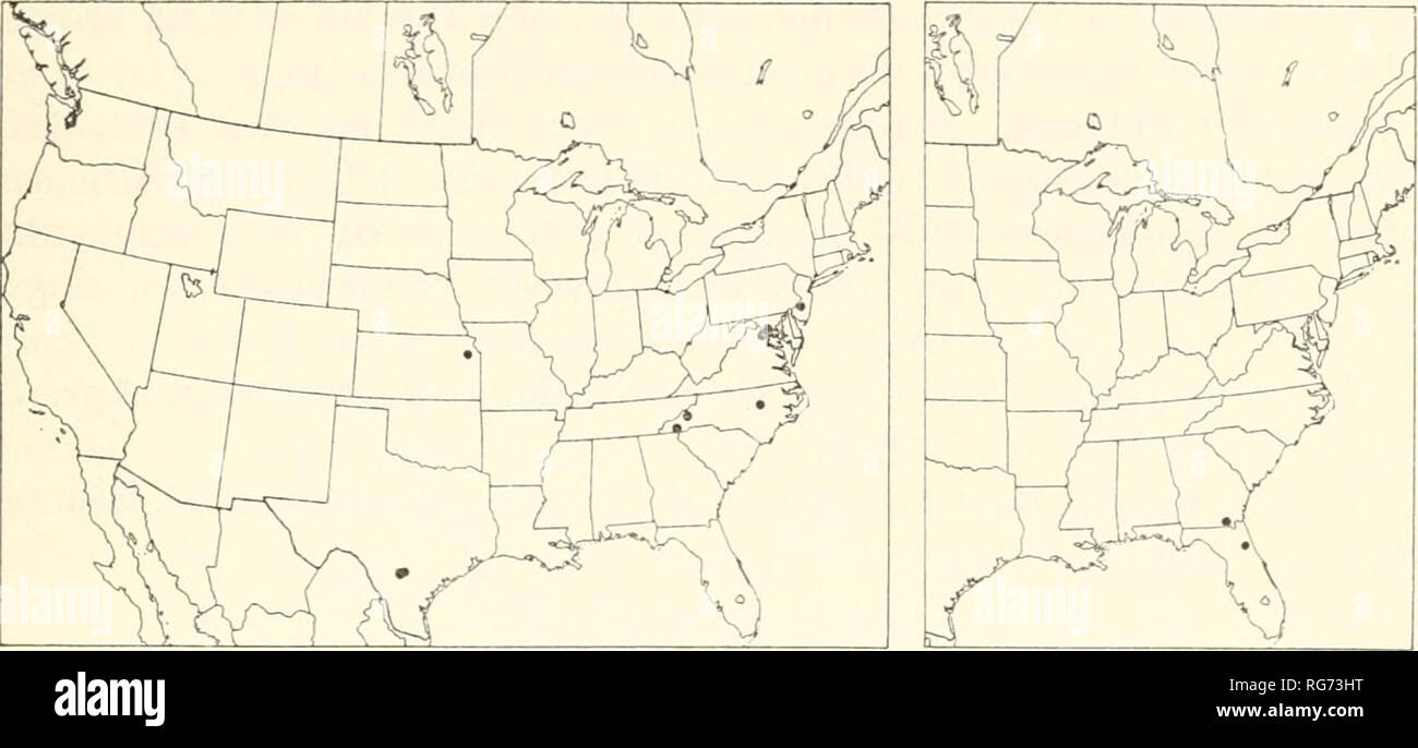 . Bulletin - United States National Museum. Science. ICHNEUMON-FLIES—GELINAE : MESOSTENINI 97. Figures 37, 38.—Localities: 37 (left), Mallochia frontalis; 38 (right), M. laevis. Type: 9, Moorestown, N.J., June 23, 1939, H, and M. Townes (Washington, USNM 63754). Paratypes: cf, Lawrence, Kans., Apr. 29, 1895, Hugo Kahl (Wash- ington), cf, 9, Patuxent Refuge near Bowie, Md., May 20, 1947, and June 6, 1948, R. M. Mitchell (Mitchell). Sd', 19, Takoma Park, Md., June 3, 1945, June 21, 1942, and July 5, 1942, H. and M. TowTies (To-vvnes). 6 d^, 19, Moorestown, N.J., June 15,23, and 25, 1939, and Jul Stock Photo