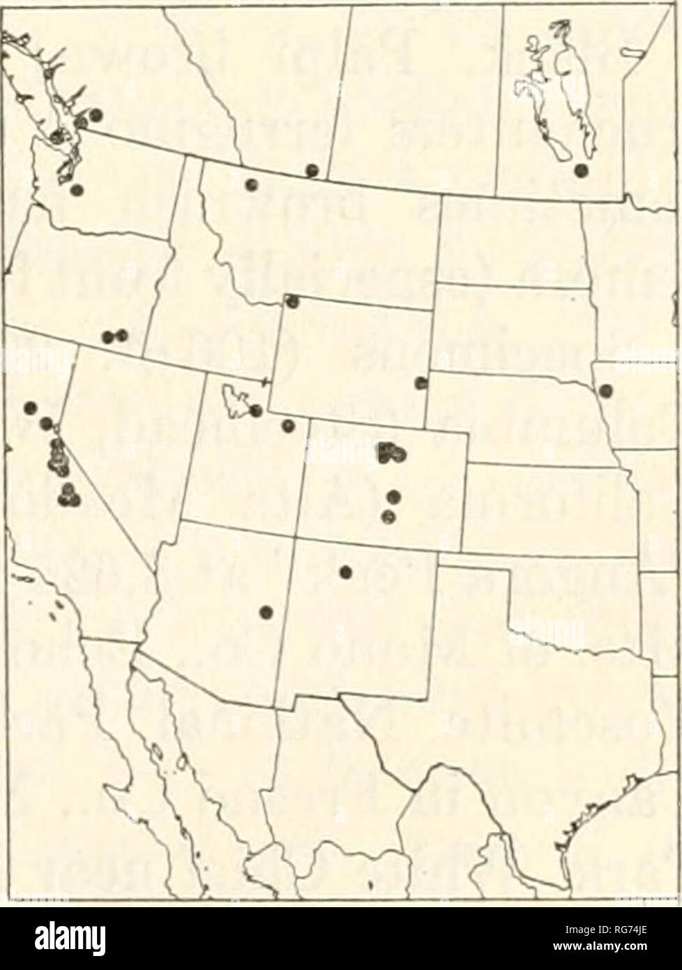 . Bulletin - United States National Museum. Science. ICHNEUMON-FLIES OF AMERICA: 1. METOPIINAE 111 and Summit Camp in Lassen Co.); Colorado (Mudd}r Pass and Phan- tom Valley in Rocky Mountain National Park at 9,400 ft.); Idaho (&quot;Cornwall,&quot; &quot;Houser Lake,&quot; Moscow Mt., and Worley); Manitoba (Cedar Lake); Michigan (Charlevoix Co., Clinton Co., Grand Tra- verse Co., Gratiot Co., Kalkaska Co., Leelanau Co., Mecosta Co., Midland Co., Montcalm Co., Osceola Co., and Wexford Co.); New Hampshire (Bretton Woods, carriage road on Mount Washington, &quot;Glen House,&quot; Jaffrey, and Ra Stock Photo