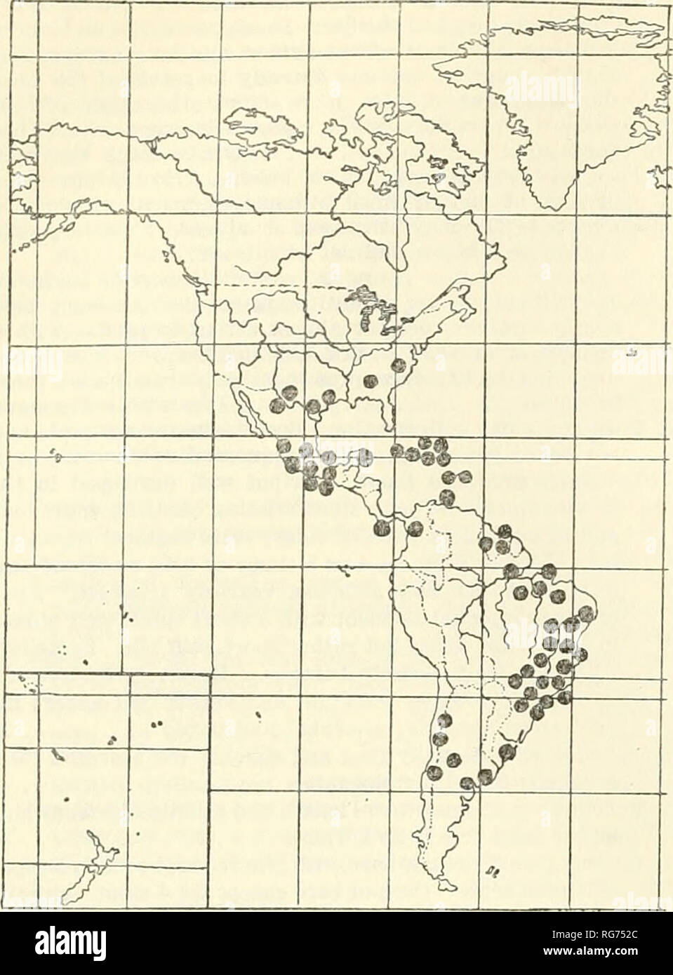 . Bulletin - United States National Museum. Science. 372 UNITED STATES NATIONAL MUSEUM BULLETIN 224. Text-Figure 26.—Pattern of distribution of the genus Atomosia Macquart. Genus Atomosia Macquart Figuees 223, 229, 637,1309,1318, 2110, 2121, 2122,2123, 2153, 2156 Atomosia Macquart, Dipteres exotiques, vol. 1, pt. 2, p. 73, 1838. Type of genus: Atomosia incisuralis Macquart, 1838. Designed by Coquillett, 1910, the fourth of 6 species. Cormanste Walker, Insecta Saundersiana, vol. 1, pt. 2, p. 154, 1S51. Type of genus: by monotypy. Cormansis halictides Walker, 1S51, Small, short and robust flies  Stock Photo