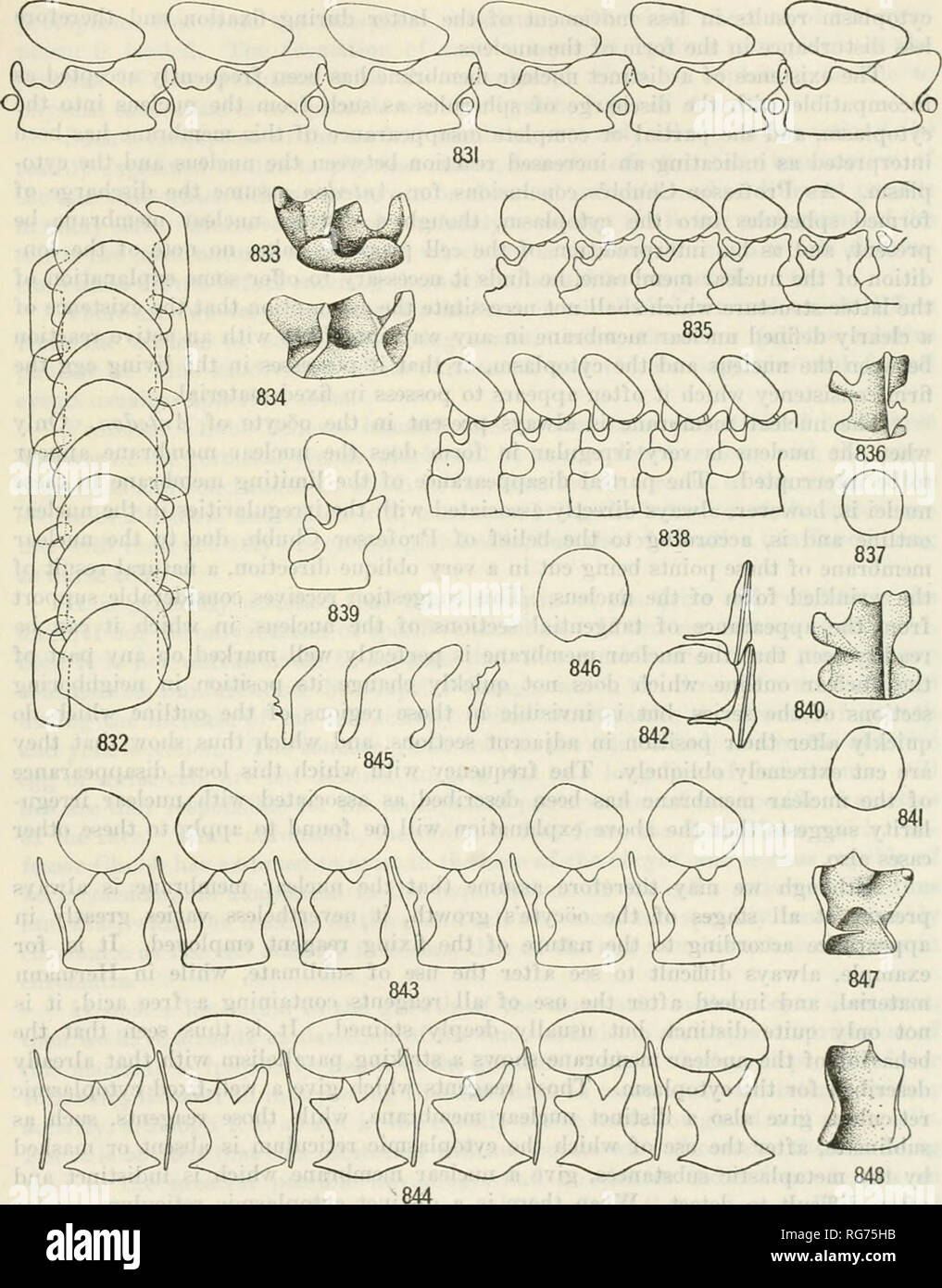 Page 9 Covering Plates High Resolution Stock Photography And Images Alamy