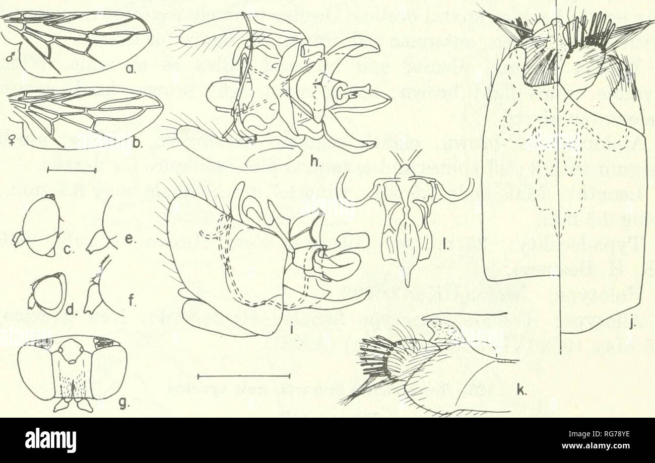 . Bulletin - United States National Museum. Science. 176 U.S. NATIONAL ...