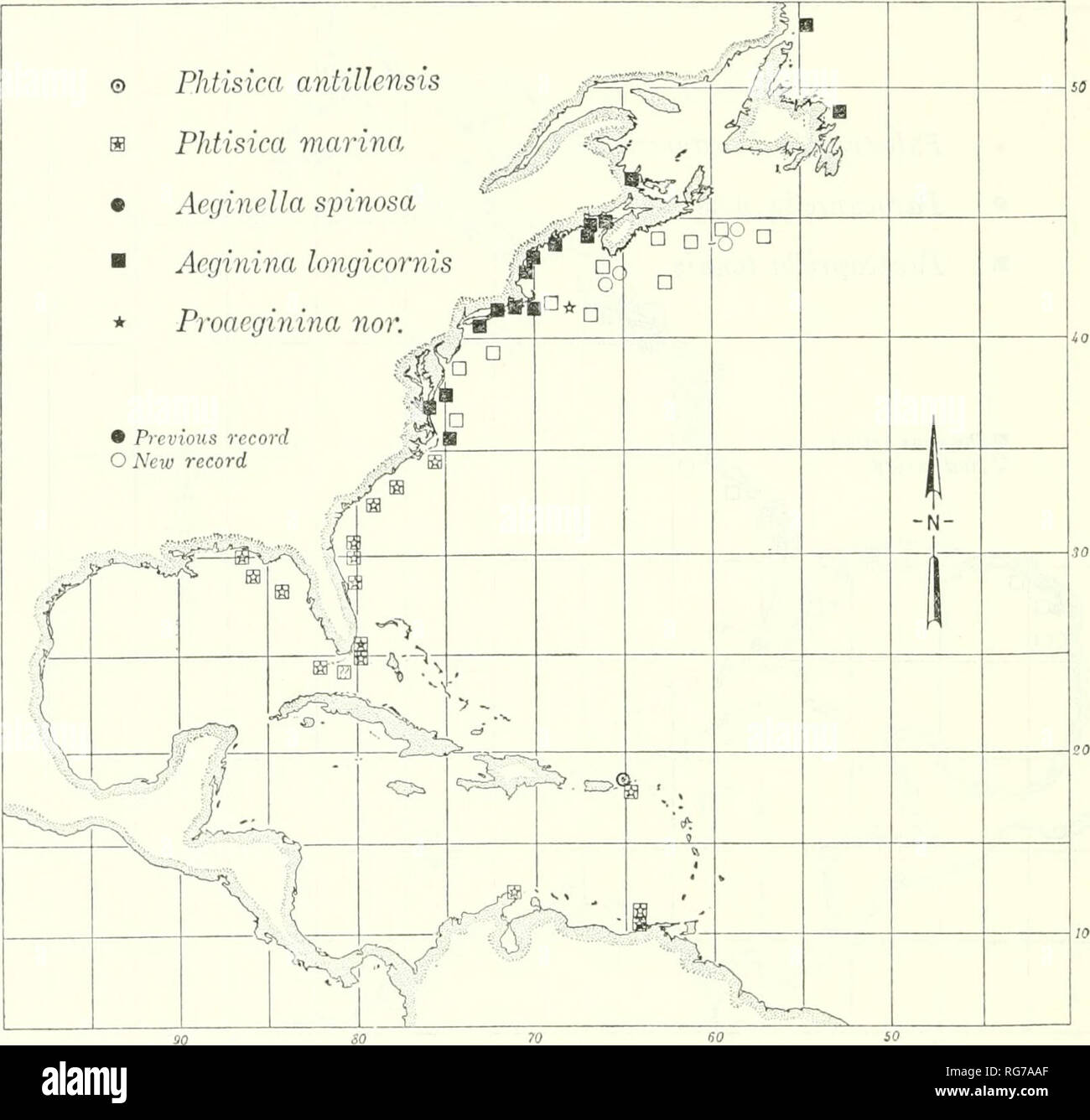 . Bulletin - United States National Museum. Science. 106 U.S. NATIONAL MUSEUM BULLETIN 2 78. Figure 54.—Distribution records of Aeginella spinosa, Aeginina longicornis, Phtisica antil- lensis, Phtisica marina, and Proaeginina norvegica in the western North Atlantic. Mayer (1903, p. 133) expresses the opinion that CaprelHdae are quite rare in the shallow water of the West Indies. Contrary to this opinion, 14 species of caprellids are reported from the Caribbean in this paper. Most of the caprellids of the area are fewer in number of individuals and smaller than those of the northern provinces.  Stock Photo