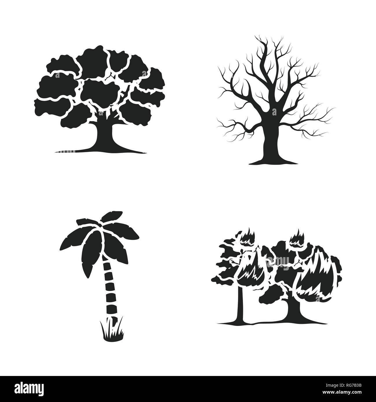 California black oak tree Stock Vector Images - Alamy